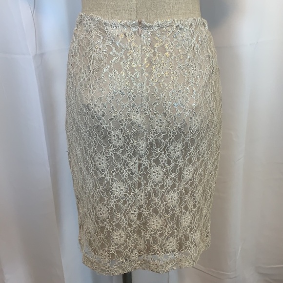 Cremieux Cody Skirt Silver/Taupe Sparkle Lined Midi Length, Lined, Size Medium - Picture 3 of 14